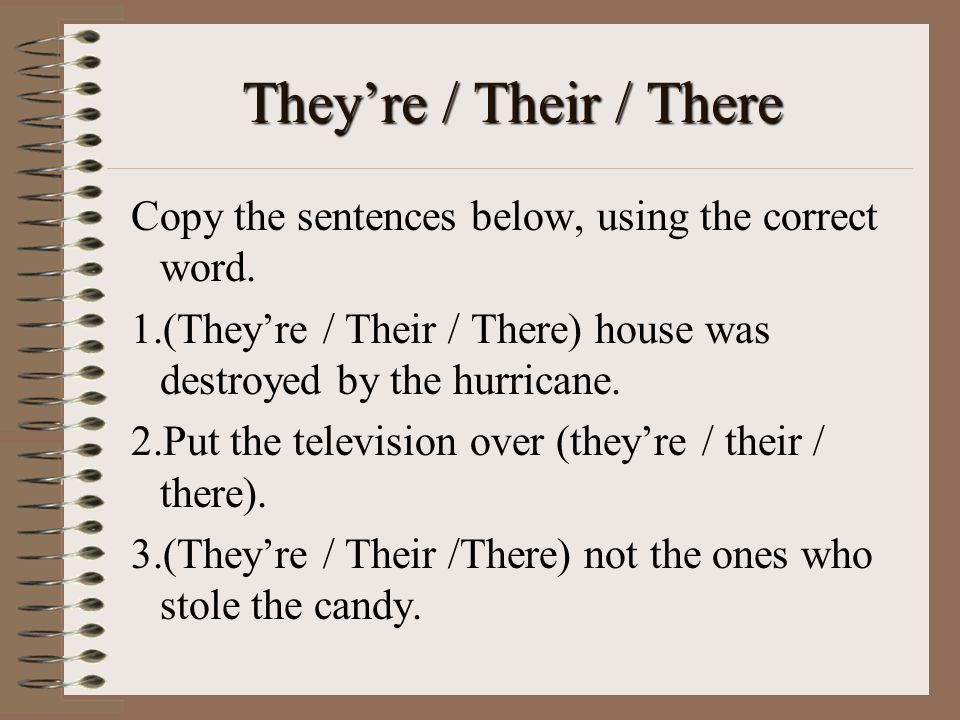 Essay On Pet Peeves