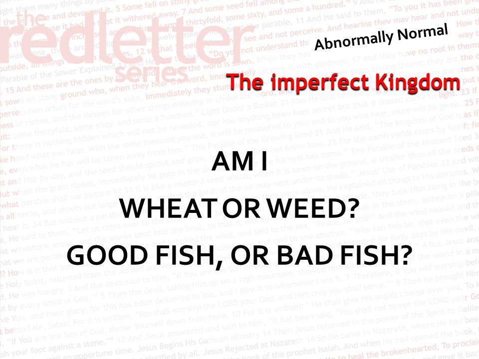 The imperfect Kingdom AM I WHEAT OR WEED GOOD FISH, OR BAD FISH