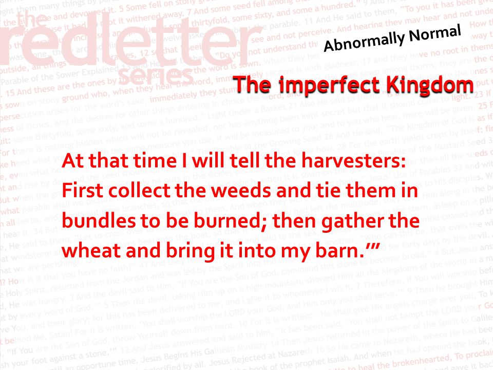 The imperfect Kingdom At that time I will tell the harvesters: First collect the weeds and tie them in bundles to be burned; then gather the wheat and bring it into my barn.’