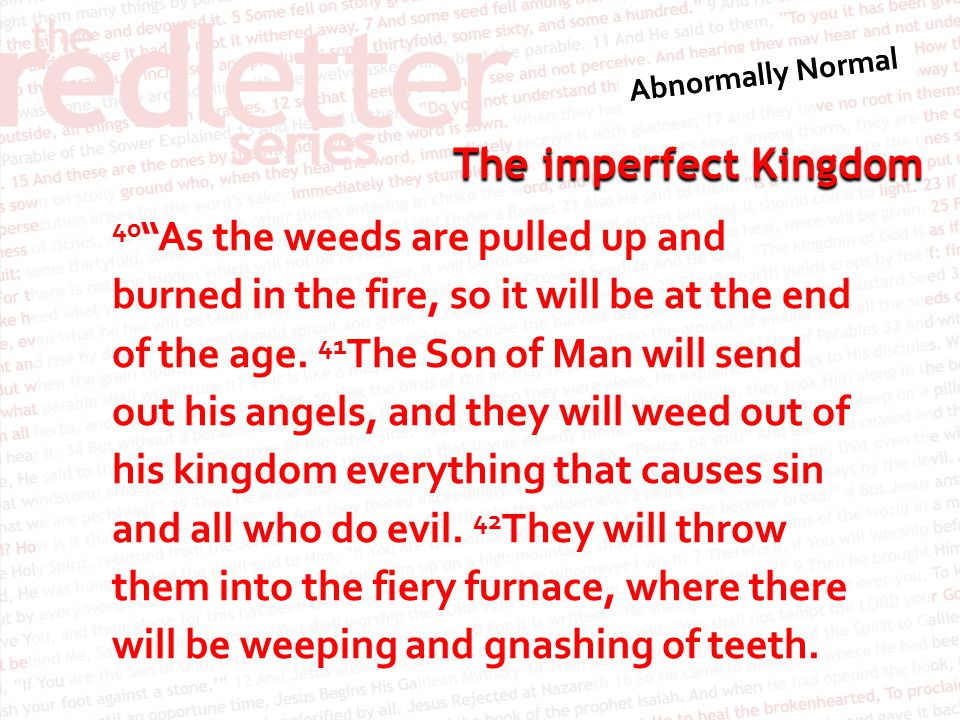 The imperfect Kingdom 40 As the weeds are pulled up and burned in the fire, so it will be at the end of the age.