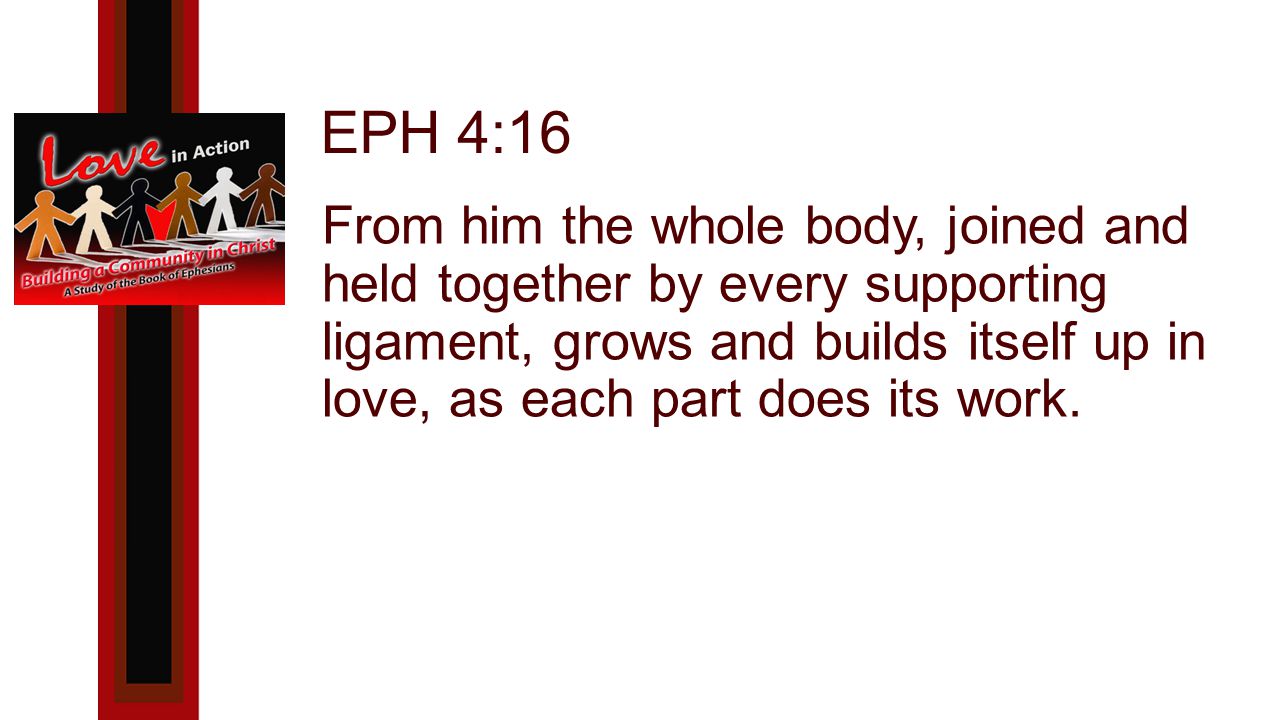 EPH 4:16 From him the whole body, joined and held together by every supporting ligament, grows and builds itself up in love, as each part does its work.