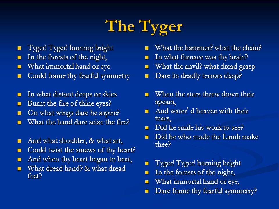 Essay on the tyger