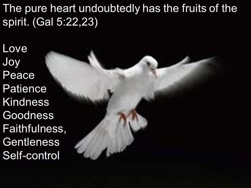 The pure heart undoubtedly has the fruits of the spirit.