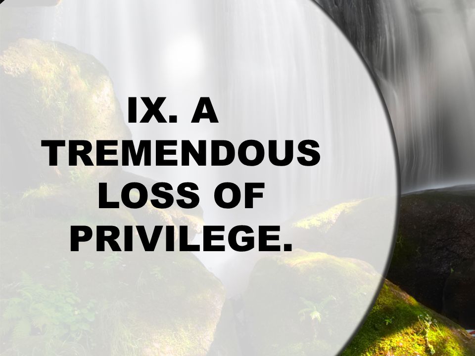 IX. A TREMENDOUS LOSS OF PRIVILEGE.