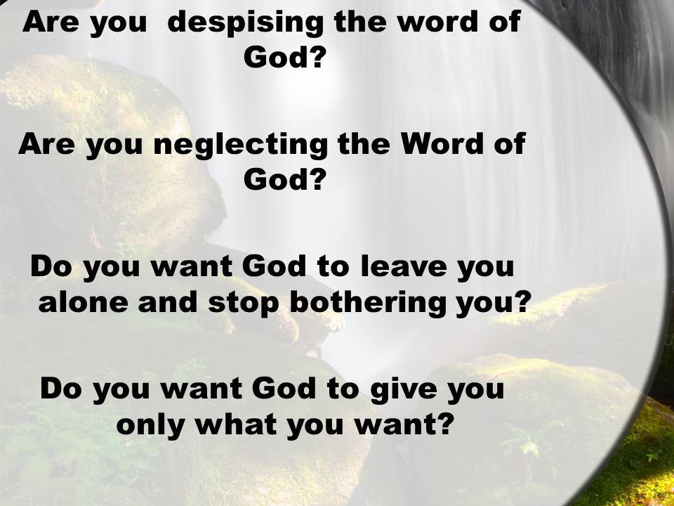 Are you despising the word of God. Are you neglecting the Word of God.