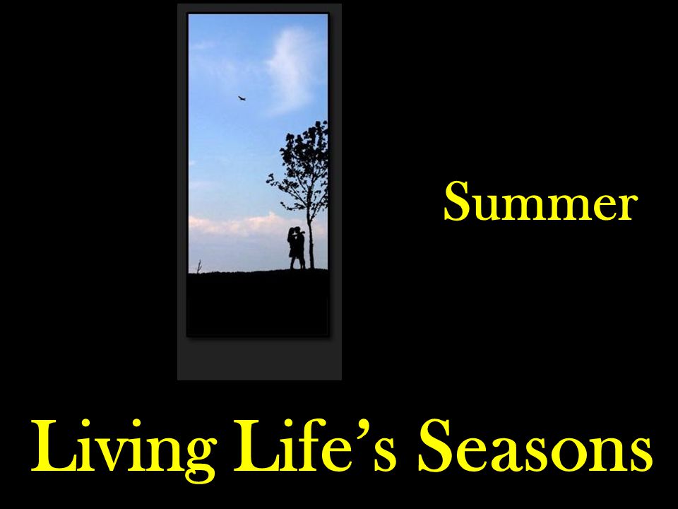 Living Life’s Seasons Summer