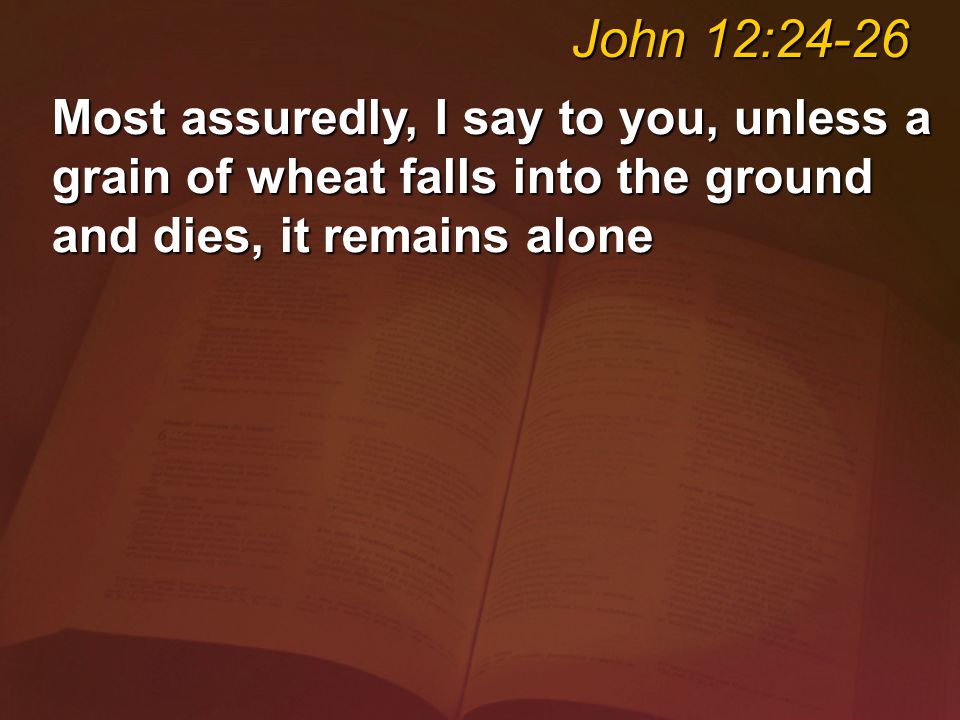Most assuredly, I say to you, unless a grain of wheat falls into the ground and dies, it remains alone John 12:24-26