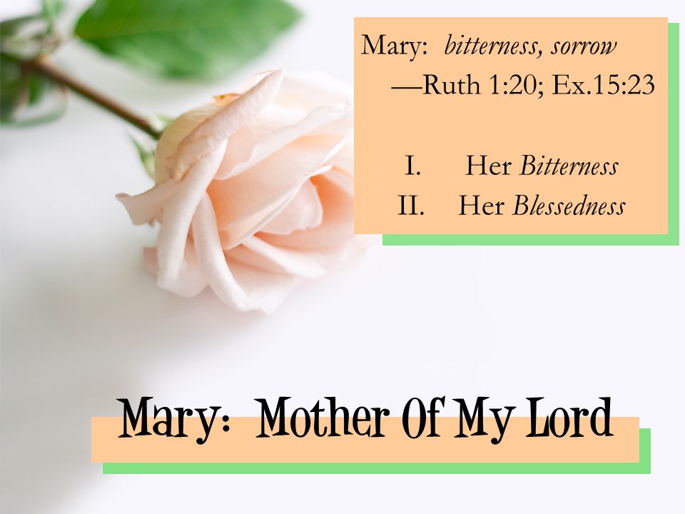 Mary: Mother Of My Lord Mary: bitterness, sorrow —Ruth 1:20; Ex.15:23 I.Her Bitterness II.Her Blessedness