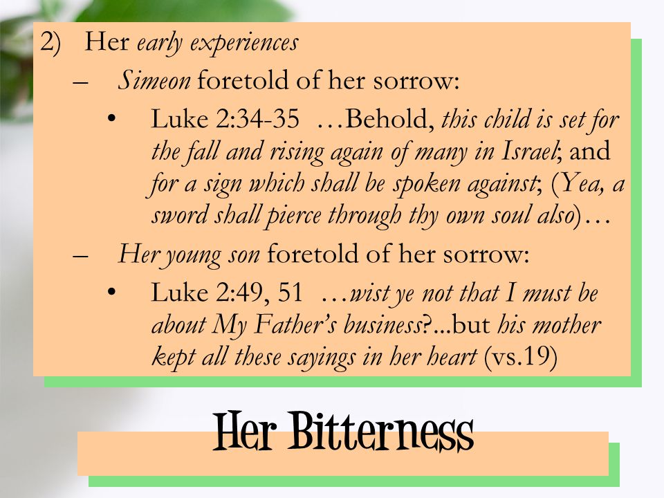 Her Bitterness 2)Her early experiences –Simeon foretold of her sorrow: Luke 2:34-35 …Behold, this child is set for the fall and rising again of many in Israel; and for a sign which shall be spoken against; (Yea, a sword shall pierce through thy own soul also)… –Her young son foretold of her sorrow: Luke 2:49, 51 …wist ye not that I must be about My Father’s business ...but his mother kept all these sayings in her heart (vs.19)