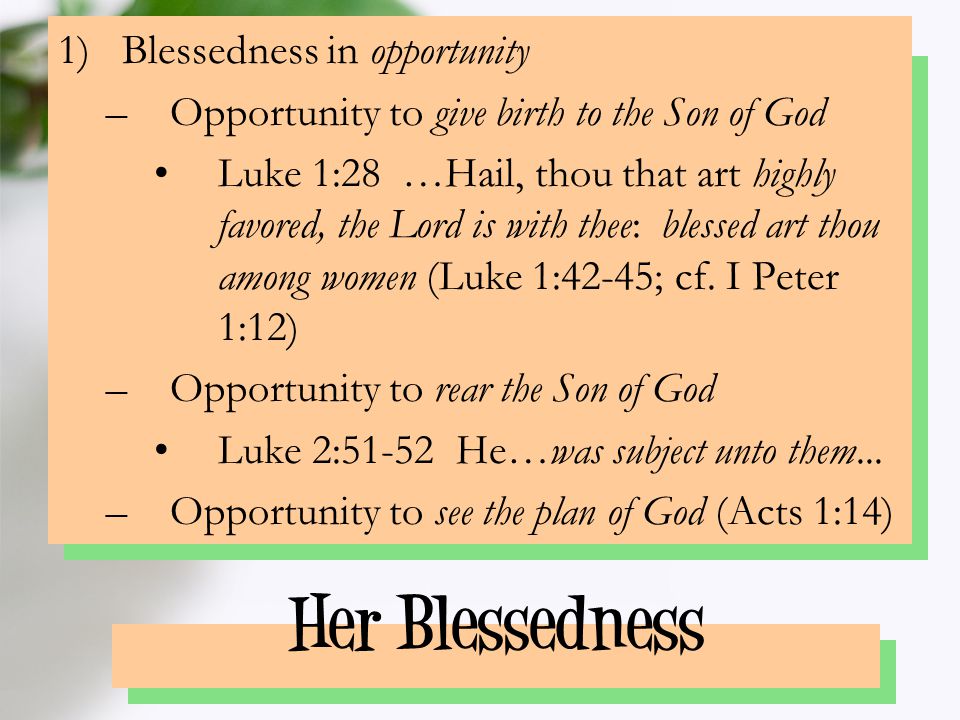 Her Blessedness 1)Blessedness in opportunity –Opportunity to give birth to the Son of God Luke 1:28 …Hail, thou that art highly favored, the Lord is with thee: blessed art thou among women (Luke 1:42-45; cf.