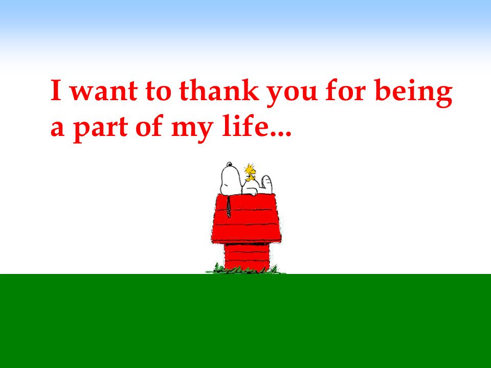 I want to thank you for being a part of my life...