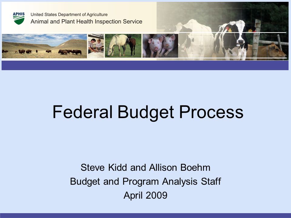 Federal Budget Process Steve Kidd and Allison Boehm Budget and Program Analysis Staff April 2009
