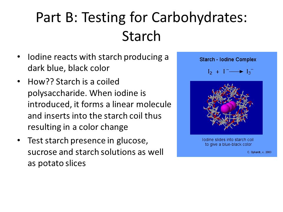 Part B: Testing for Carbohydrates: Starch Iodine reacts with starch producing a dark blue, black color How .