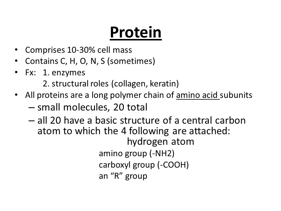 Protein Comprises 10-30% cell mass Contains C, H, O, N, S (sometimes) Fx: 1.
