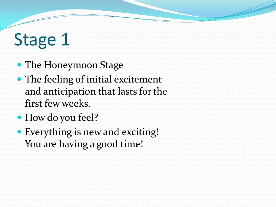 Stage 1 The Honeymoon Stage The feeling of initial excitement and anticipation that lasts for the first few weeks.