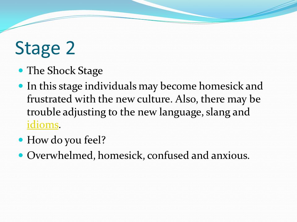 Stage 2 The Shock Stage In this stage individuals may become homesick and frustrated with the new culture.