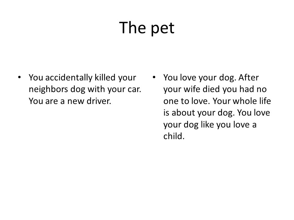 The pet You accidentally killed your neighbors dog with your car.