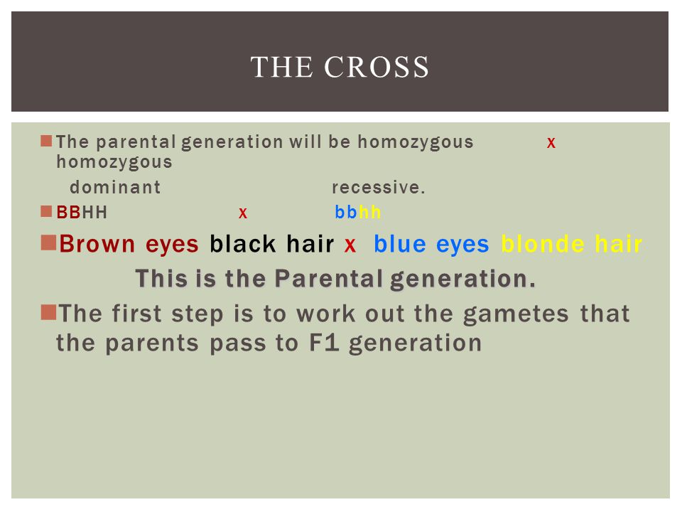 Will My Baby Have Blonde Hair And Blue Eyes Blonde Hair And Brown Eyes Genetics
