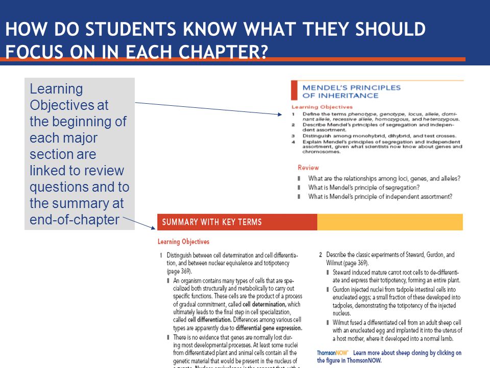 Learning Objectives at the beginning of each major section are linked to review questions and to the summary at end-of-chapter HOW DO STUDENTS KNOW WHAT THEY SHOULD FOCUS ON IN EACH CHAPTER