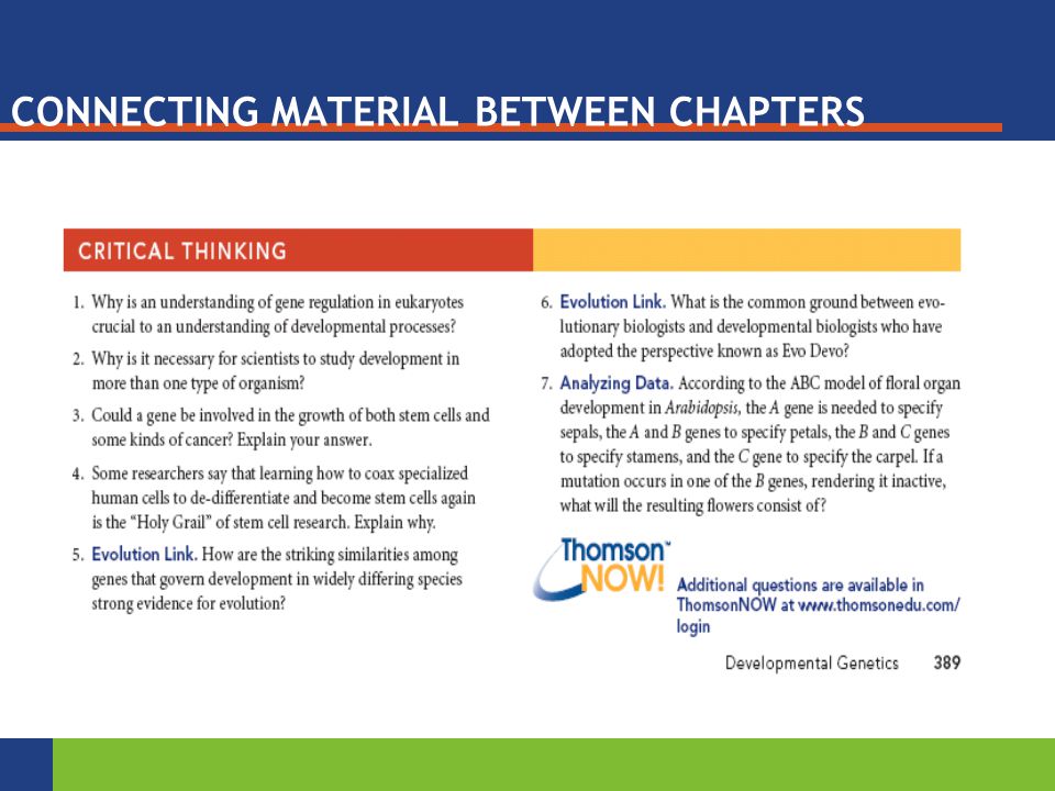 CONNECTING MATERIAL BETWEEN CHAPTERS