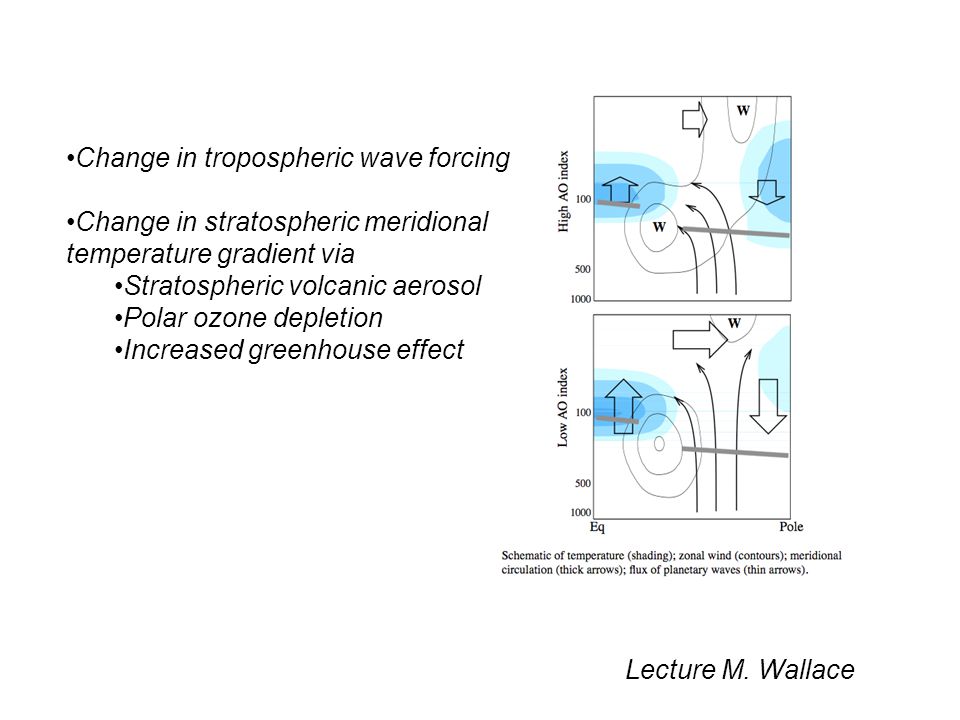 Change in tropospheric wave forcing Change in stratospheric meridional temperature gradient via Stratospheric volcanic aerosol Polar ozone depletion Increased greenhouse effect Lecture M.