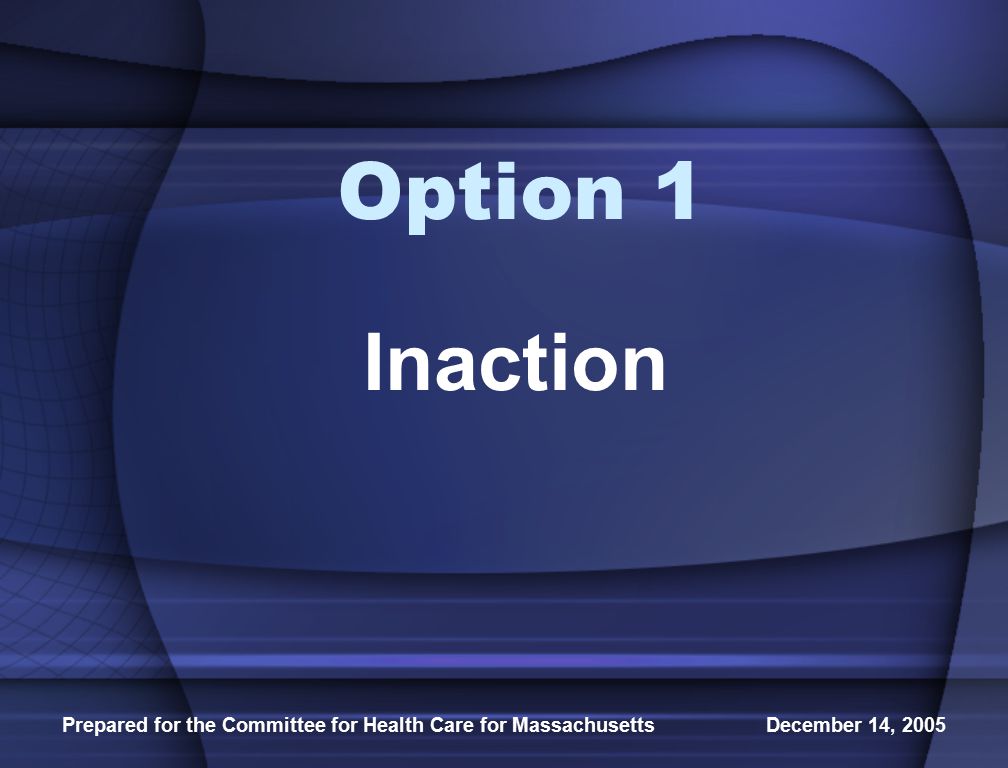 Prepared for the Committee for Health Care for Massachusetts December 14, 2005 Option 1 Inaction