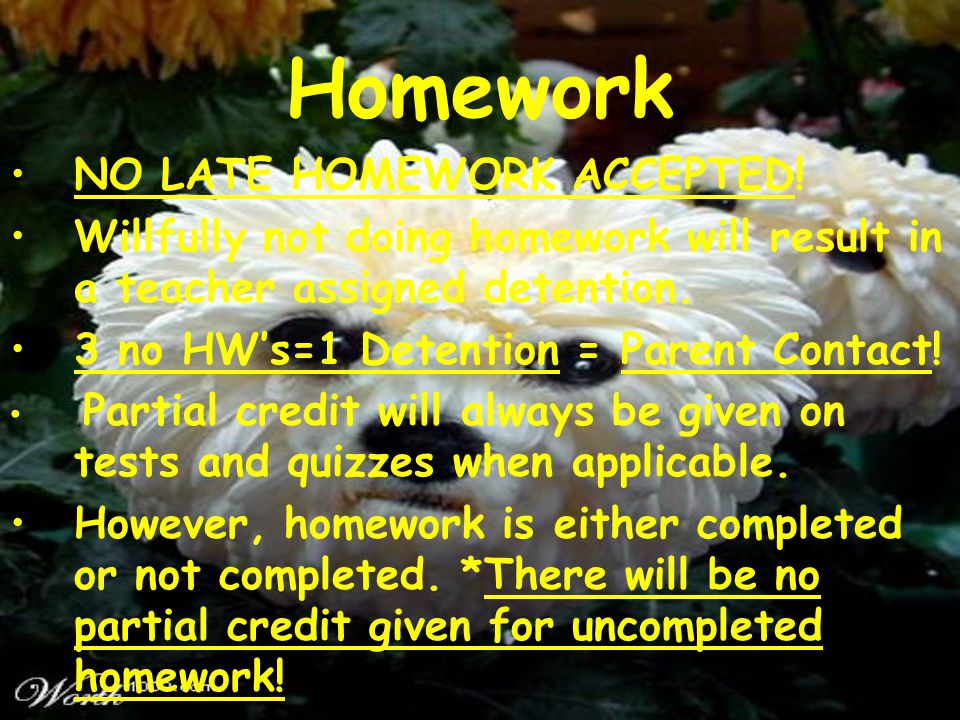 Homework NO LATE HOMEWORK ACCEPTED.