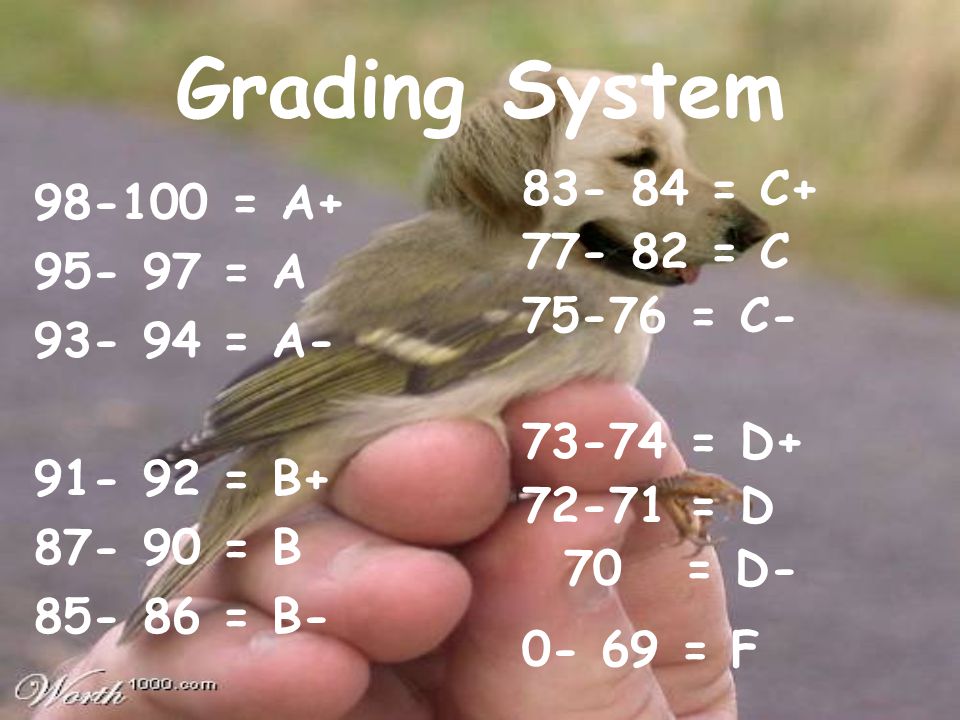 Grading System = A = A = A = B = B = B = C = C = C = D = D 70 = D = F
