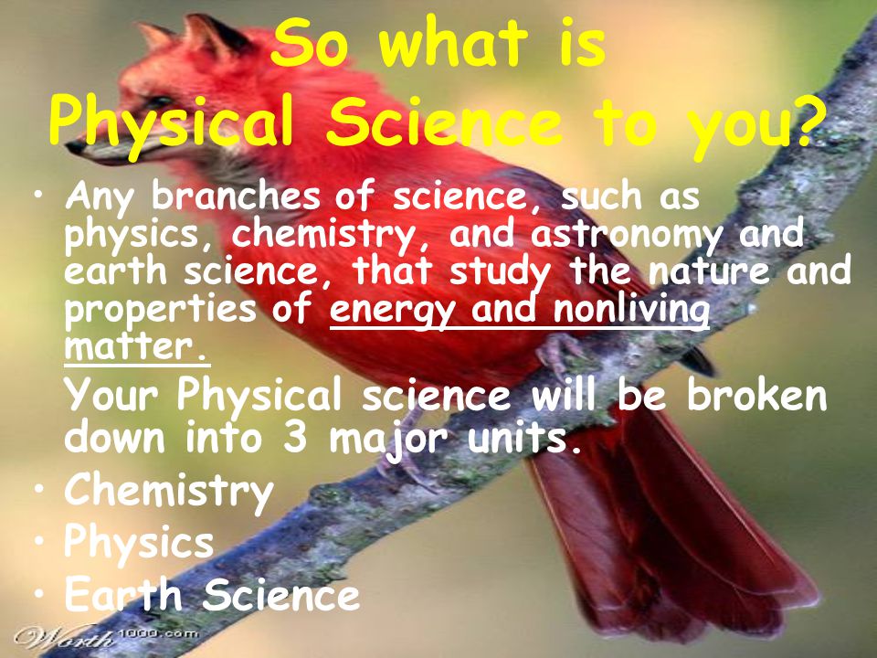 So what is Physical Science to you.
