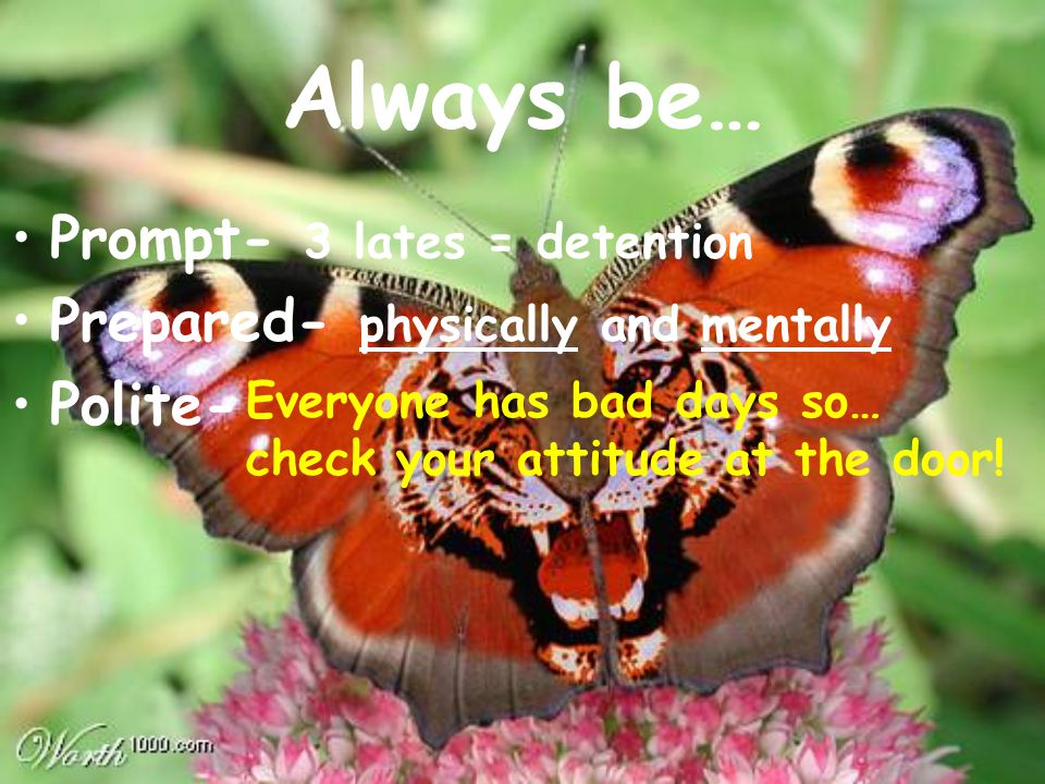Always be… Prompt- 3 lates = detention Prepared- physically and mentally Polite- Everyone has bad days so… check your attitude at the door!