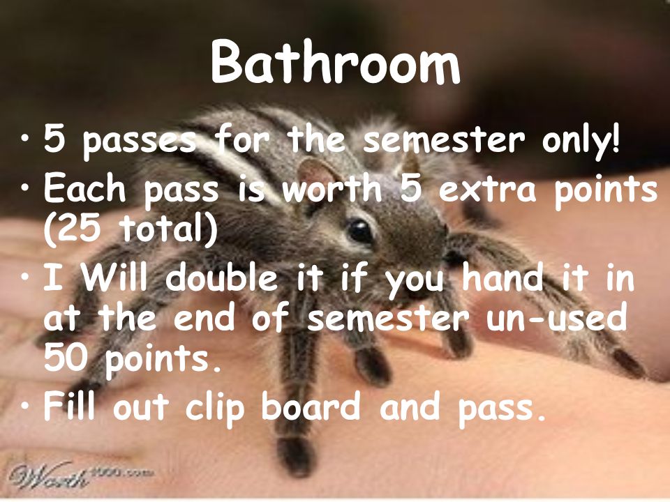 Bathroom 5 passes for the semester only.