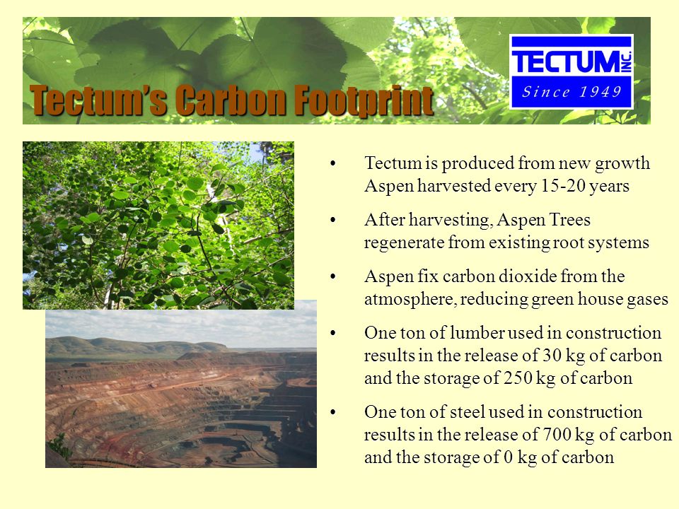 Tectum is produced from new growth Aspen harvested every yearsTectum is produced from new growth Aspen harvested every years After harvesting, Aspen Trees regenerate from existing root systemsAfter harvesting, Aspen Trees regenerate from existing root systems Aspen fix carbon dioxide from the atmosphere, reducing green house gasesAspen fix carbon dioxide from the atmosphere, reducing green house gases One ton of lumber used in construction results in the release of 30 kg of carbon and the storage of 250 kg of carbonOne ton of lumber used in construction results in the release of 30 kg of carbon and the storage of 250 kg of carbon One ton of steel used in construction results in the release of 700 kg of carbon and the storage of 0 kg of carbonOne ton of steel used in construction results in the release of 700 kg of carbon and the storage of 0 kg of carbon Tectum’s Carbon Footprint