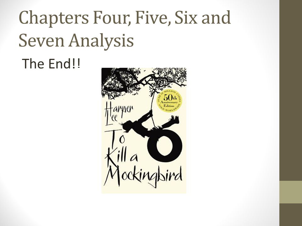 Chapters Four, Five, Six and Seven Analysis The End!!