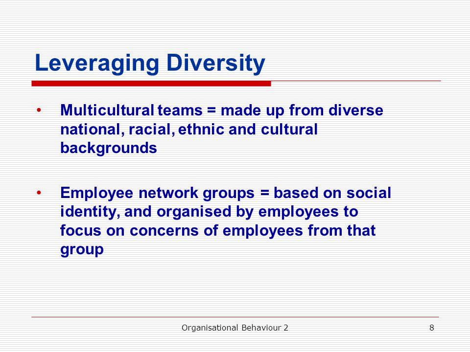 Leveraging Diversity Multicultural teams = made up from diverse national, racial, ethnic and cultural backgrounds Employee network groups = based on social identity, and organised by employees to focus on concerns of employees from that group Organisational Behaviour 28