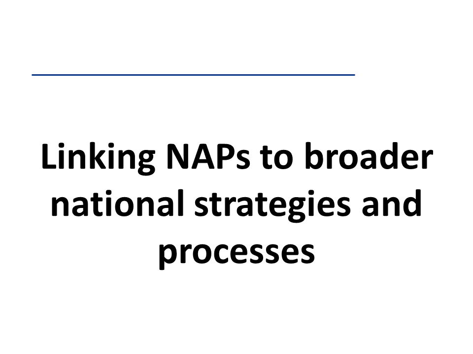 Linking NAPs to broader national strategies and processes