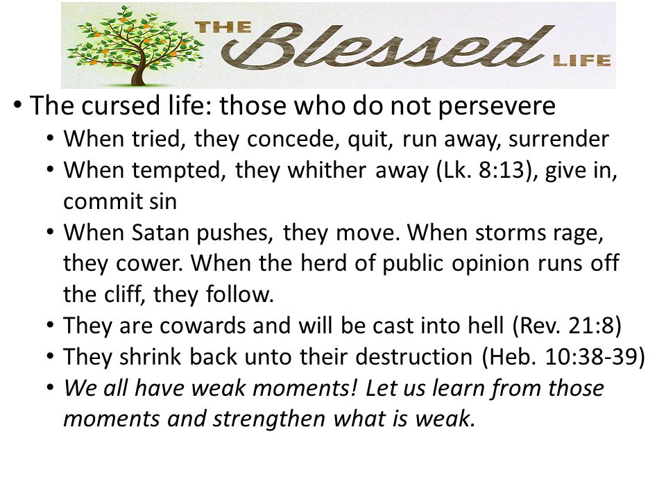 The cursed life: those who do not persevere When tried, they concede, quit, run away, surrender When tempted, they whither away (Lk.