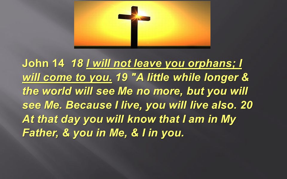 John I will not leave you orphans; I will come to you.