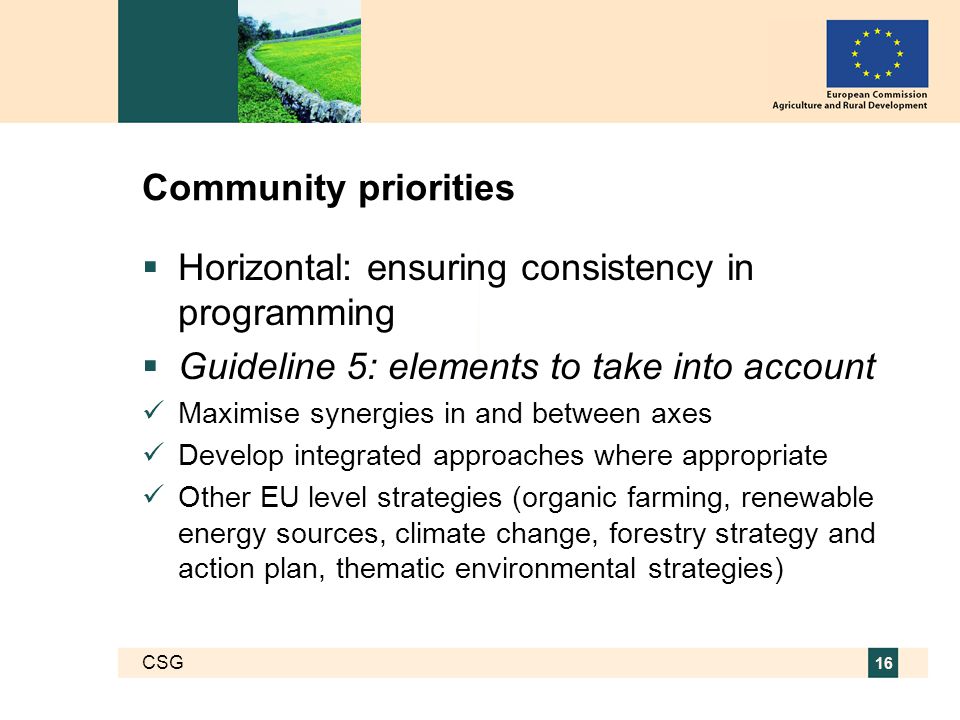 CSG 16 Community priorities  Horizontal: ensuring consistency in programming  Guideline 5: elements to take into account Maximise synergies in and between axes Develop integrated approaches where appropriate Other EU level strategies (organic farming, renewable energy sources, climate change, forestry strategy and action plan, thematic environmental strategies)
