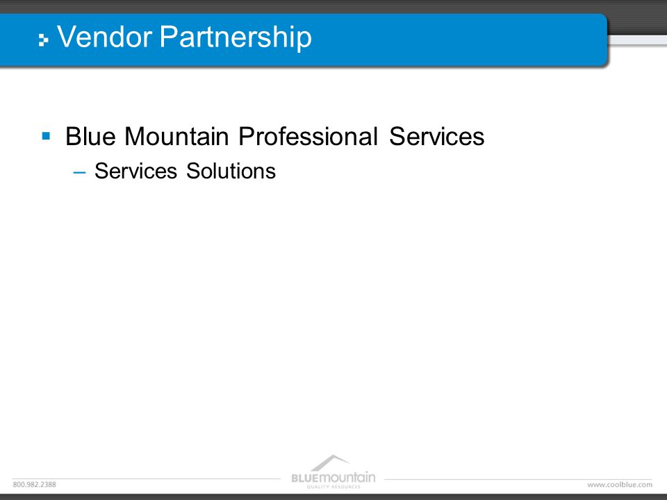 Vendor Partnership  Blue Mountain Professional Services –Services Solutions