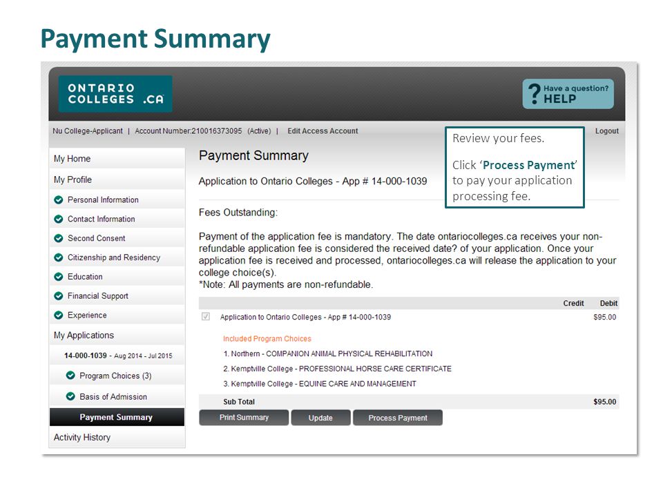 Payment Summary Review your fees. Click ‘Process Payment’ to pay your application processing fee.