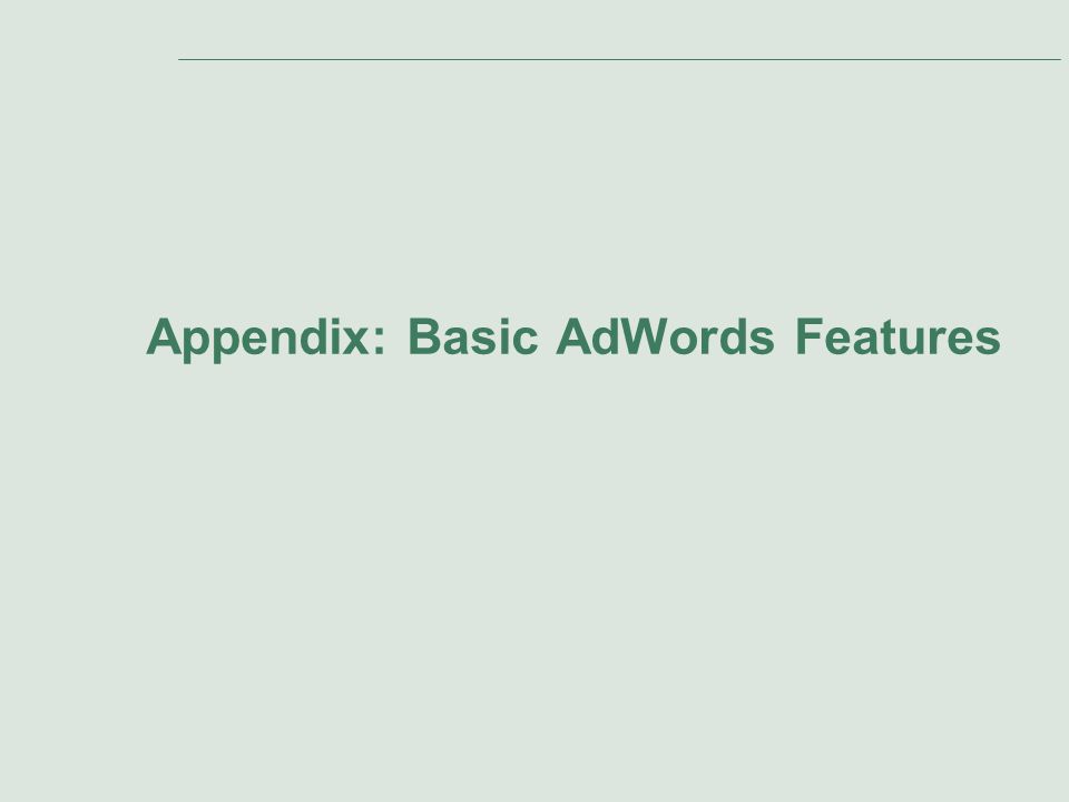 Appendix: Basic AdWords Features