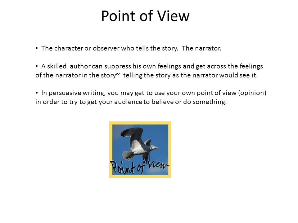 Point of View The character or observer who tells the story.