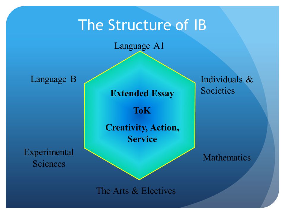 The Structure of IB Language A1 Language B Individuals & Societies Mathematics Experimental Sciences The Arts & Electives Extended Essay ToK Creativity, Action, Service