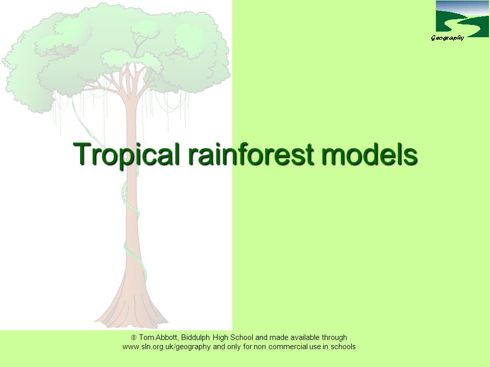  Tom Abbott, Biddulph High School and made available through   and only for non commercial use in schools Tropical rainforest models