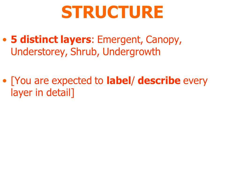 STRUCTURE 5 distinct layers: Emergent, Canopy, Understorey, Shrub, Undergrowth [You are expected to label/ describe every layer in detail]