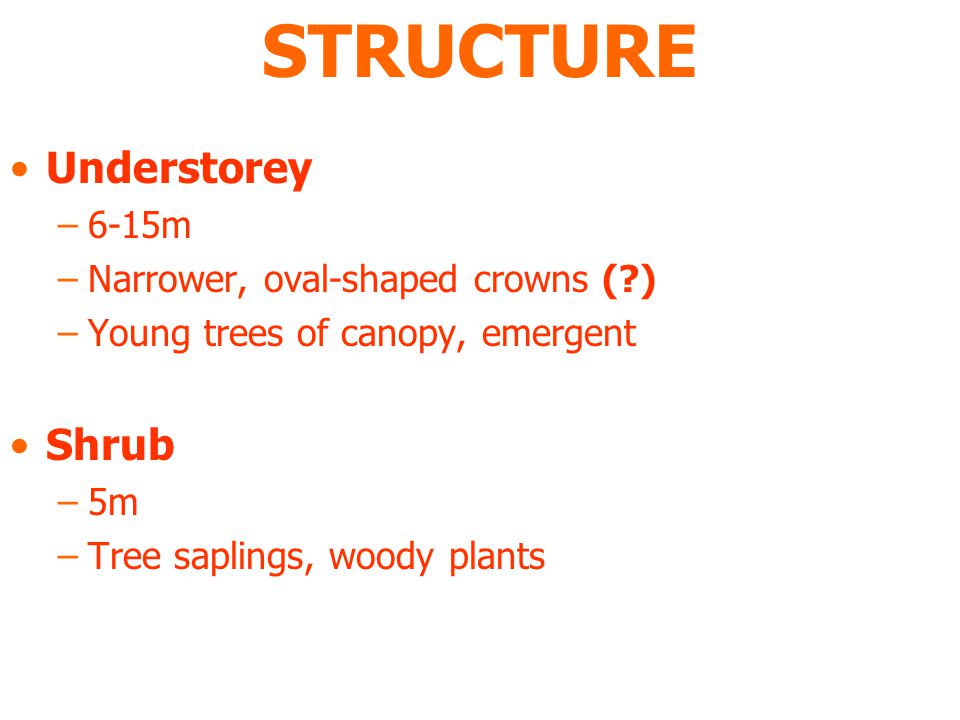 STRUCTURE Understorey –6-15m –Narrower, oval-shaped crowns ( ) –Young trees of canopy, emergent Shrub –5m –Tree saplings, woody plants