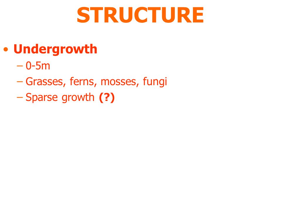 STRUCTURE Undergrowth –0-5m –Grasses, ferns, mosses, fungi –Sparse growth ( )