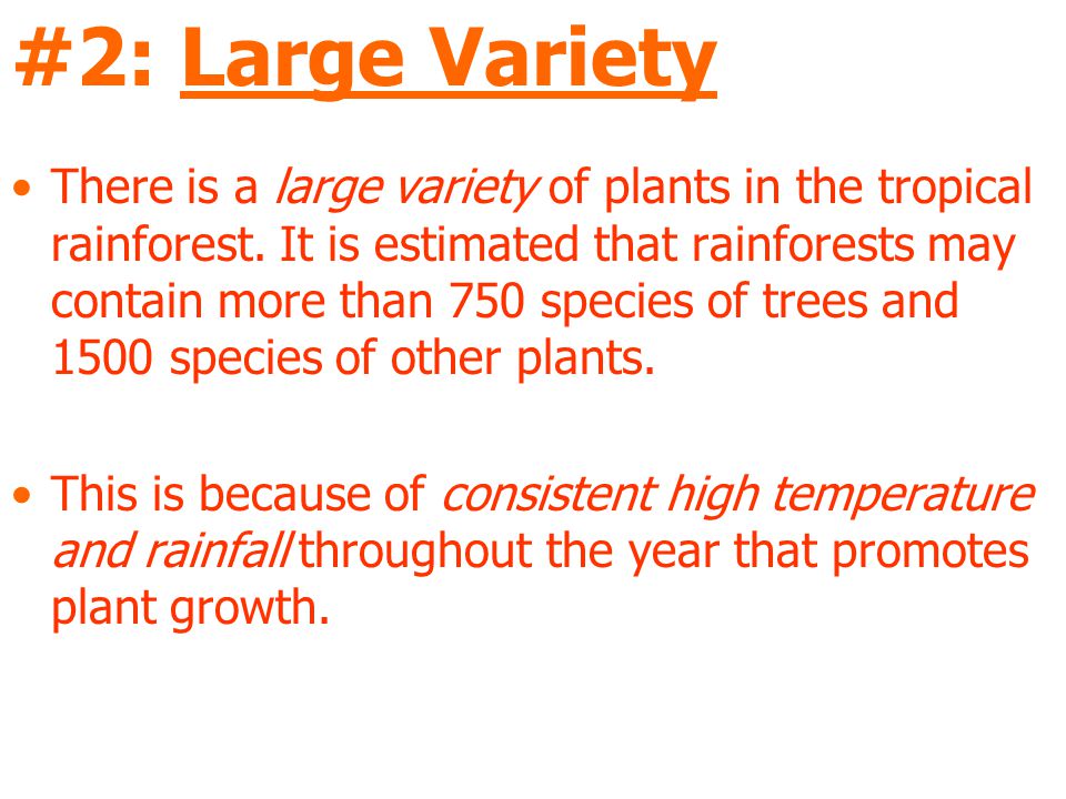 #2: Large Variety There is a large variety of plants in the tropical rainforest.