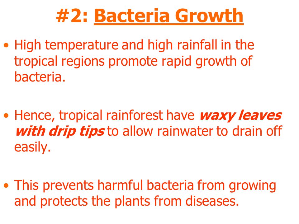 #2: Bacteria Growth High temperature and high rainfall in the tropical regions promote rapid growth of bacteria.