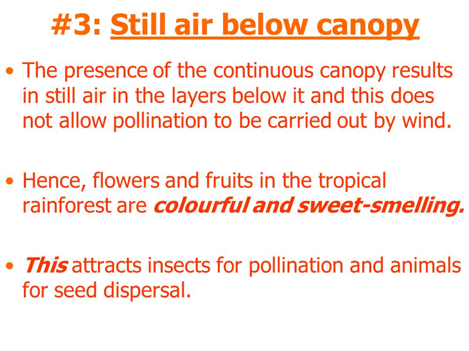 #3: Still air below canopy The presence of the continuous canopy results in still air in the layers below it and this does not allow pollination to be carried out by wind.